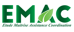 EMAC Logo